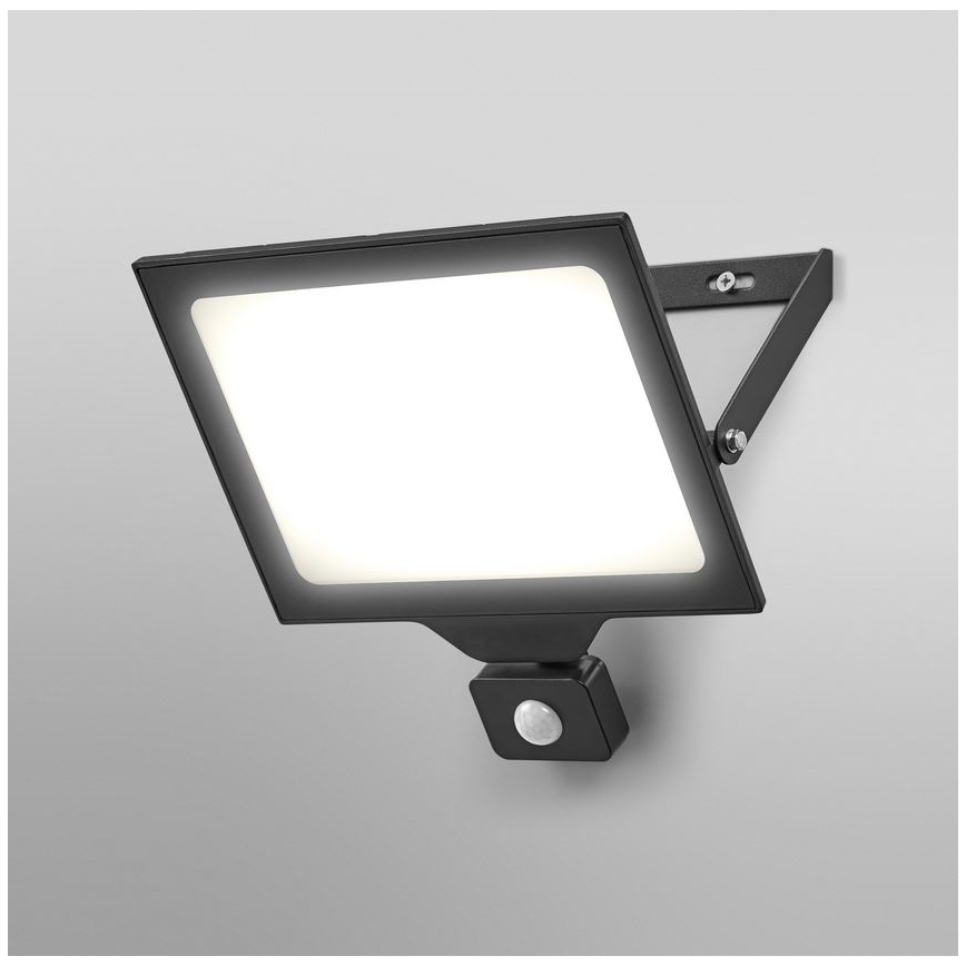 Ledvance - LED Vonkajší nástenný reflektor so senzorom FLOODLIGHT ESSENTIAL LED/100W/230V IP65
