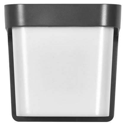 Ledvance - LED Vonkajšie nástenné svietidlo ENDURA STYLE IHSAN LED/11W/230V IP65