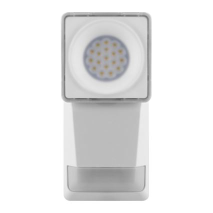Ledvance - LED Vonkajšie nástenné svietidlo so senzorom SPOT LED/8W/230V IP55 biela