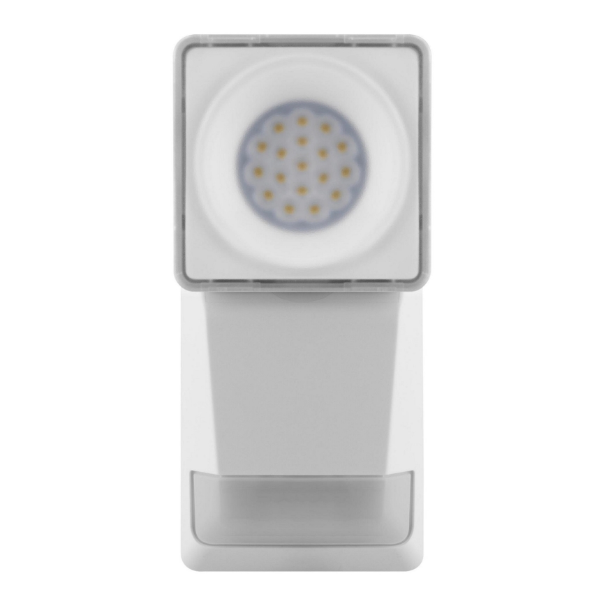 Ledvance - LED Vonkajšie nástenné svietidlo so senzorom SPOT LED/8W/230V IP55 biela