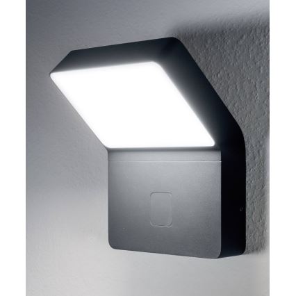 Ledvance - LED Vonkajšie svietidlo so senzorom ENDURA LED/12W/230V IP44