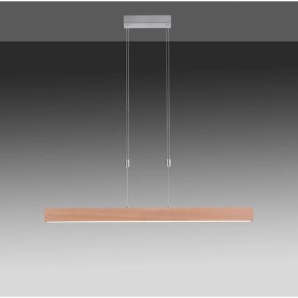 Leuchten Direkt 11420-78 - LED závesné svietidlo na lane AMANDA LED/30W/230V 2700-5000K 110 cm hnedá