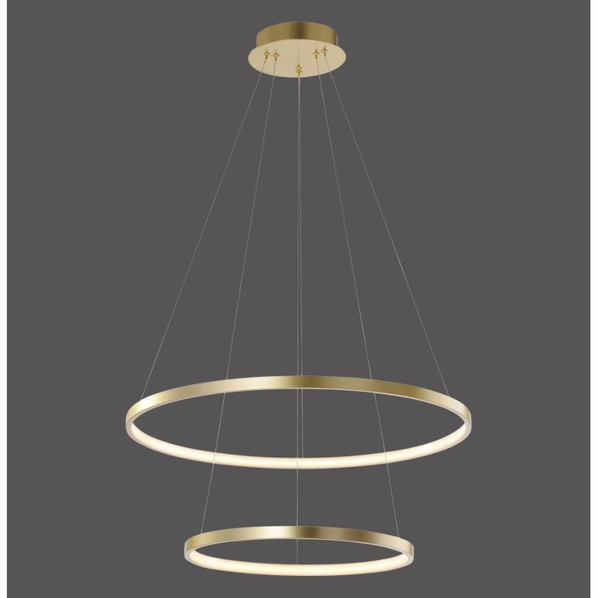 Leuchten Direkt 11525-12 -LED Luster na lanku CIRCLE 1xLED/18,5W/230V + LED/23,5W