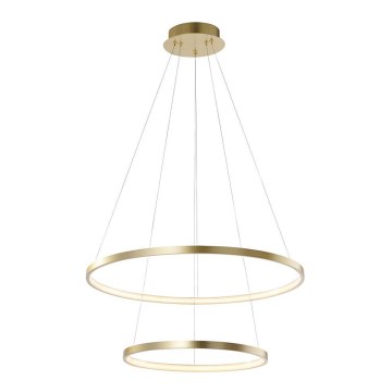 Leuchten Direkt 11525-12 -LED Luster na lanku CIRCLE LED/18,5W/230V + LED/23,5W