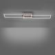 Leuchten Direkt 14019-78 - LED Stmievateľné stropné svietidlo IVEN 2xLED/20W/230V + diaľkové ovládanie