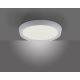 Leuchten Direkt 14217-16 - LED Stmievateľné stropné svietidlo LORENA 1xLED/35W/230V šedá + diaľkové ovládanie
