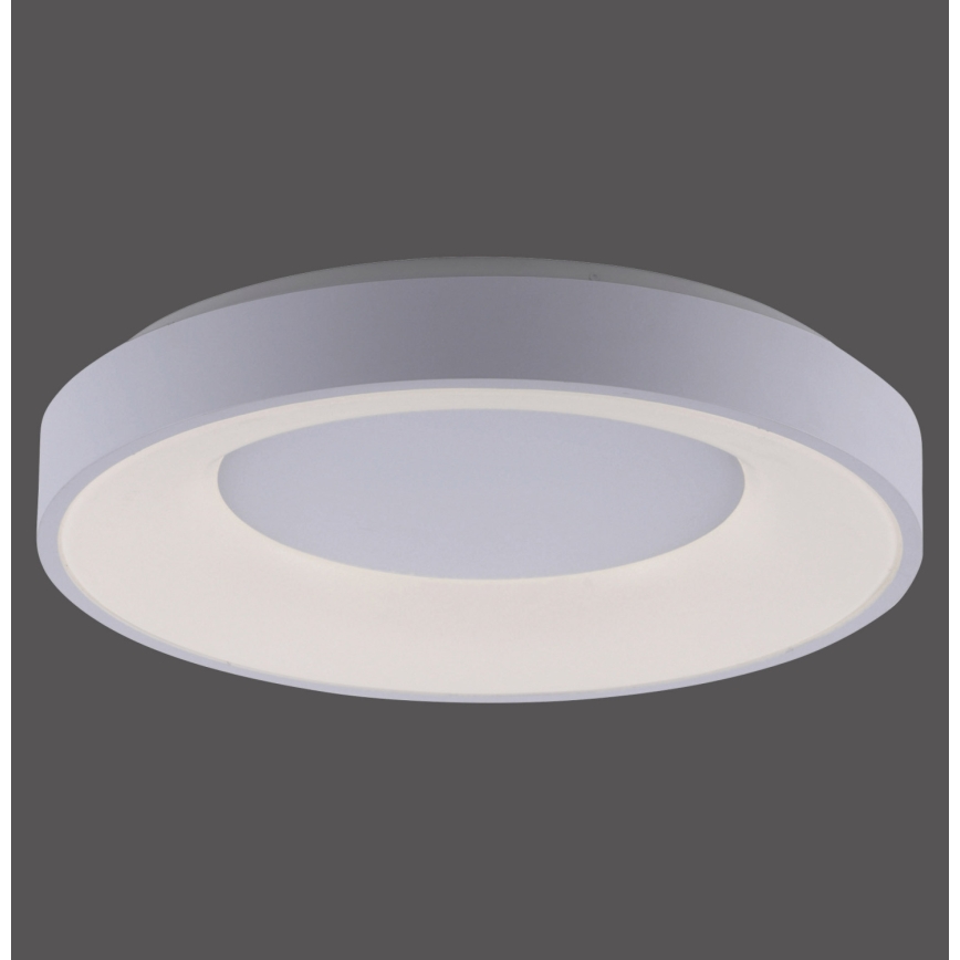 Leuchten Direkt 14326-16 - LED Stmievateľné stropné svietidlo ANIKA LED/30W/230V + diaľkové ovládanie