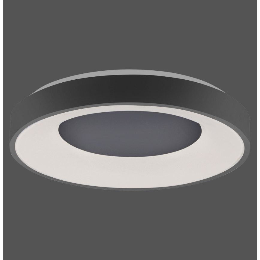 Leuchten Direkt 14326-18 - LED Stmievateľné stropné svietidlo ANIKA LED/30W/230V + diaľkové ovládanie
