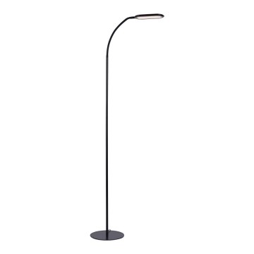 Leuchten Direkt 14406-18 - LED Stmievateľná stojacia lampa KELLY LED/7W/230V 3000/4000/6000K