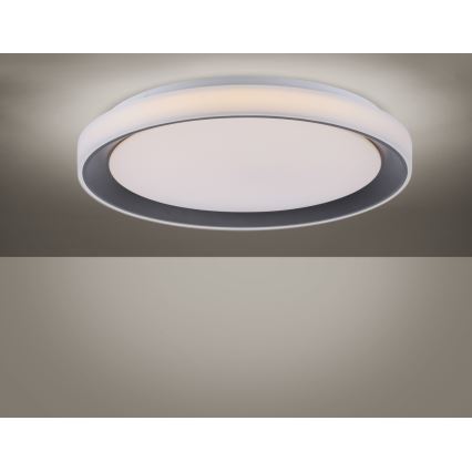 Leuchten Direkt 14659-18 - LED RGB Stmievateľné stropné svietidlo LOLA LED/24W/230V Tuya + diaľkové ovládanie