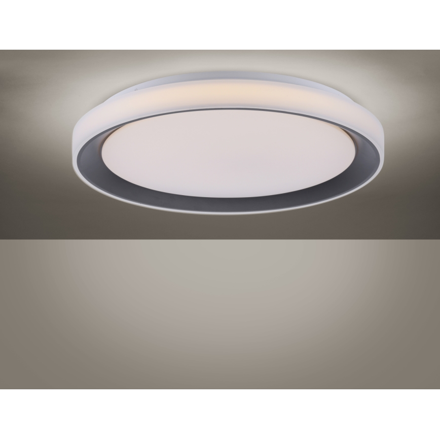 Leuchten Direkt 14659-18 - LED RGB Stmievateľné stropné svietidlo LOLA LED/24W/230V Tuya + diaľkové ovládanie