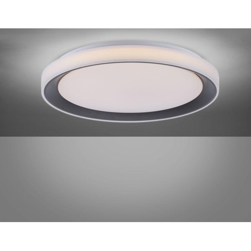Leuchten Direkt 14659-18 - LED RGB Stmievateľné stropné svietidlo LOLA LED/24W/230V Tuya + diaľkové ovládanie