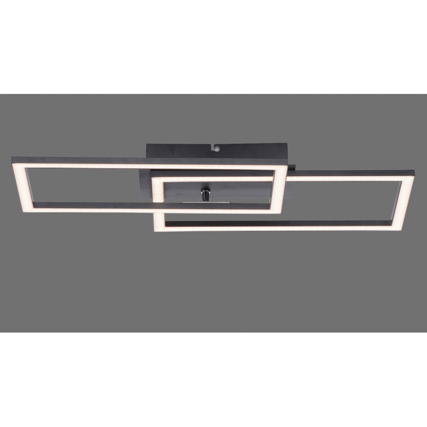 Leuchten Direkt 14692-18 - LED Stmievateľné stropné svietidlo IVEN LED/36W/230V
