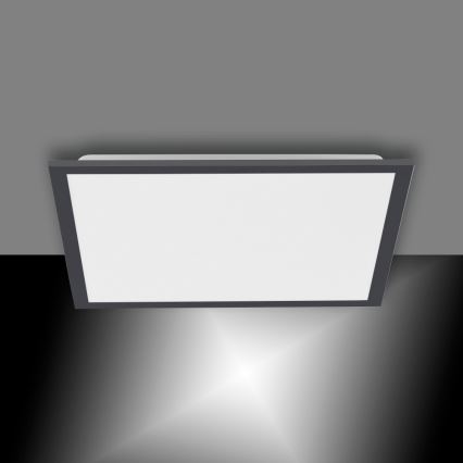 Leuchten Direkt 14755-18 - LED Stmievateľné stropné svietidlo FLAT LED/28W/230V 2700-5000 + diaľkové ovládanie