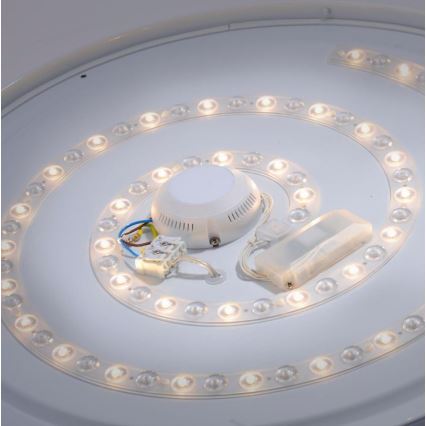 Leuchten Direkt 14822-17 - LED Kúpelňové stropné svietidlo so senzorom LAVINIA LED/40W/230V IP44