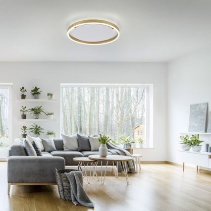 Leuchten Direkt 15391-60 - LED Stmievateľné stropné svietidlo RITUS LED/20W/230V mosadz