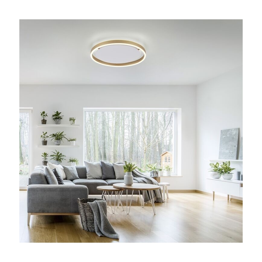 Leuchten Direkt 15391-60 - LED Stmievateľné stropné svietidlo RITUS LED/20W/230V mosadz