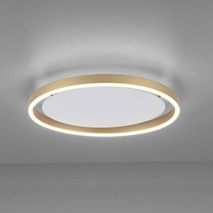 Leuchten Direkt 15391-60 - LED Stmievateľné stropné svietidlo RITUS LED/20W/230V mosadz