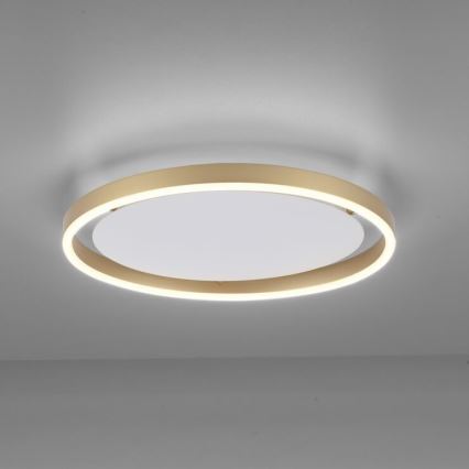 Leuchten Direkt 15391-60 - LED Stmievateľné stropné svietidlo RITUS LED/20W/230V