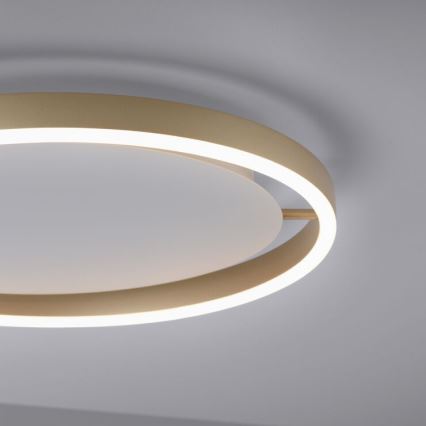 Leuchten Direkt 15391-60 - LED Stmievateľné stropné svietidlo RITUS LED/20W/230V mosadz