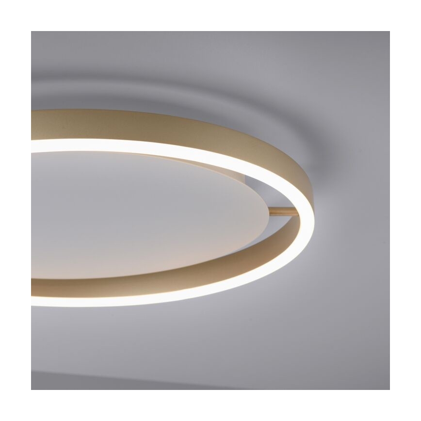 Leuchten Direkt 15391-60 - LED Stmievateľné stropné svietidlo RITUS LED/20W/230V mosadz