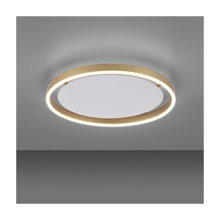 Leuchten Direkt 15391-60 - LED Stmievateľné stropné svietidlo RITUS LED/20W/230V mosadz