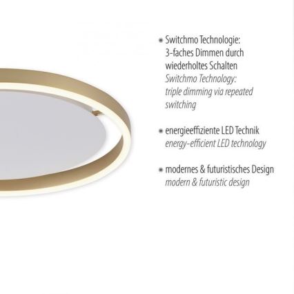 Leuchten Direkt 15391-60 - LED Stmievateľné stropné svietidlo RITUS LED/20W/230V mosadz