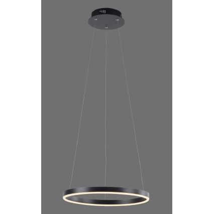 Leuchten Direkt 15393-13 - LED Stmievateľný luster na lanku RITUS LED/20W/230V čierna