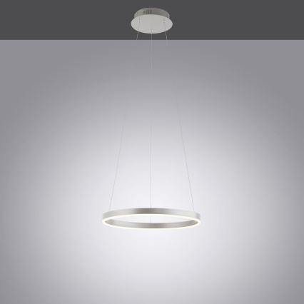 Leuchten Direkt 15393-95 - LED Stmievateľný luster na lanku RITUS LED/20W/230V matný chróm