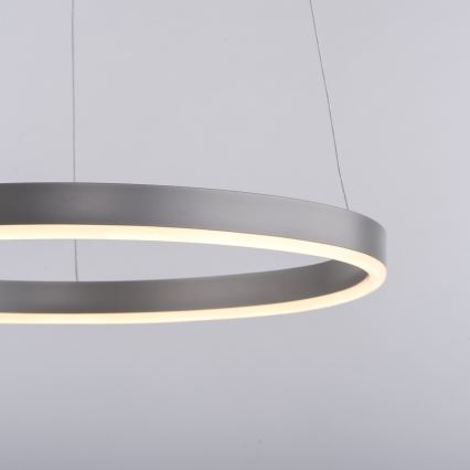 Leuchten Direkt 15393-95 - LED Stmievateľný luster na lanku RITUS LED/20W/230V matný chróm