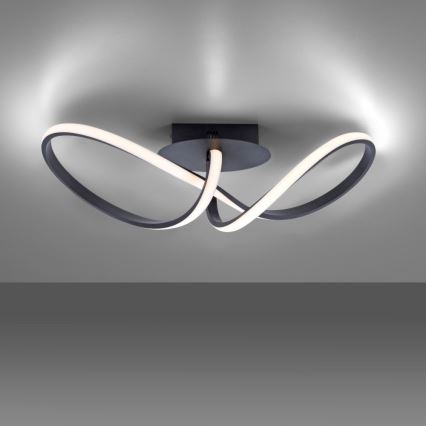 Leuchten Direkt 15403-18 - LED Stmievateľný prisadený luster MARIA LED/16W/230V čierna