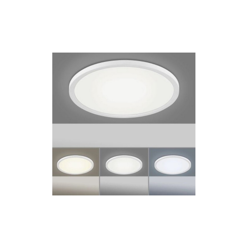 Leuchten Direkt 15571-16 - LED Stmievateľné stropné svietidlo FLAT LED/23,5W/230V 2700-5000K + diaľkové ovládanie