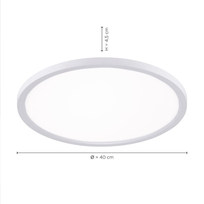 Leuchten Direkt 15571-16 - LED Stmievateľné stropné svietidlo FLAT LED/23,5W/230V 2700-5000K + diaľkové ovládanie
