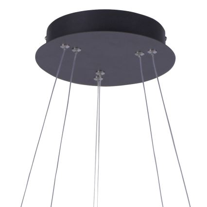 Leuchten Direkt 15610-18 - LED  Stmievateľný luster na lanku MUSA LED/36W/230V