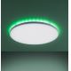 Leuchten Direkt 15602-16 - LED RGBW Stmievateľné stropné svietidlo GUSTAV LED/20,3W/230V+LED/1,8W 2700-5000K + diaľkové ovládanie