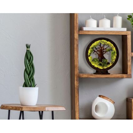 Li-Go 23604/DUB2 - LED Stmievateľná stolová dekorácia LED/12W/230V 20x22 cm dub