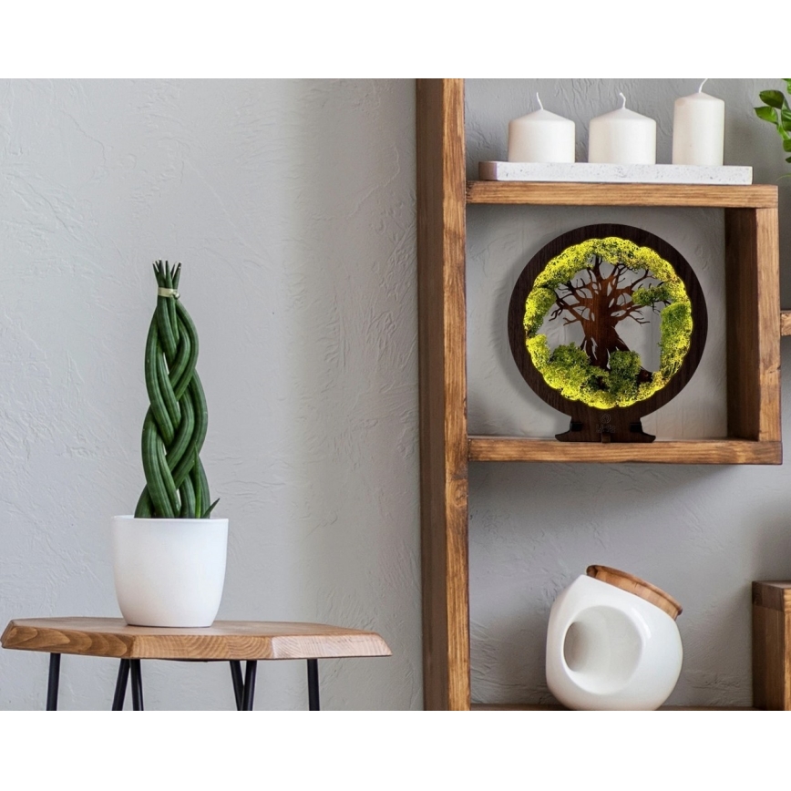 Li-Go 23604/DUB2 - LED Stmievateľná stolová dekorácia LED/12W/230V 20x22 cm dub