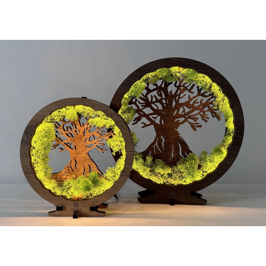 Li-Go 23604/DUB2 - LED Stmievateľná stolová dekorácia LED/12W/230V 20x22 cm dub