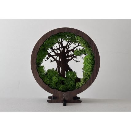 Li-Go 23604/DUB2 - LED Stmievateľná stolová dekorácia LED/12W/230V 20x22 cm dub