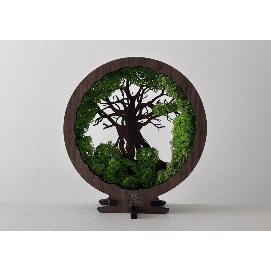 Li-Go 23604/DUB2 - LED Stmievateľná stolová dekorácia LED/12W/230V 20x22 cm dub