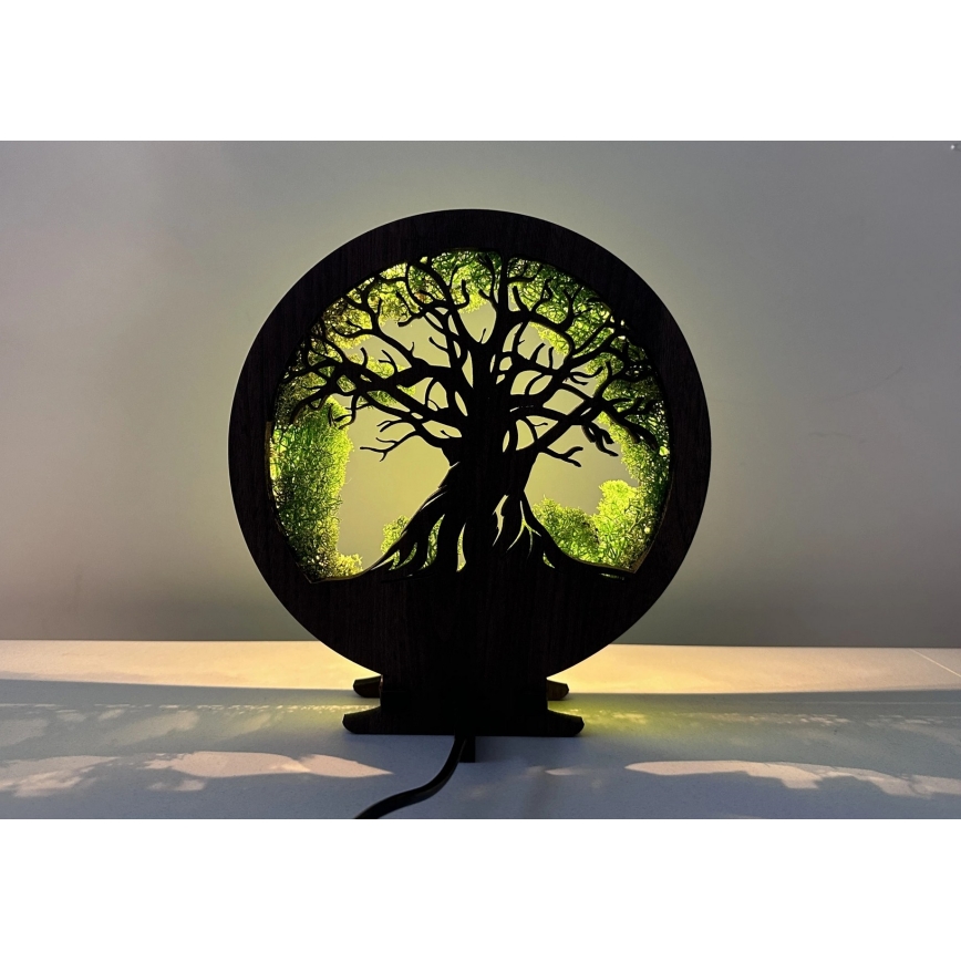 Li-Go 23604/DUB2 - LED Stmievateľná stolová dekorácia LED/12W/230V 20x22 cm dub