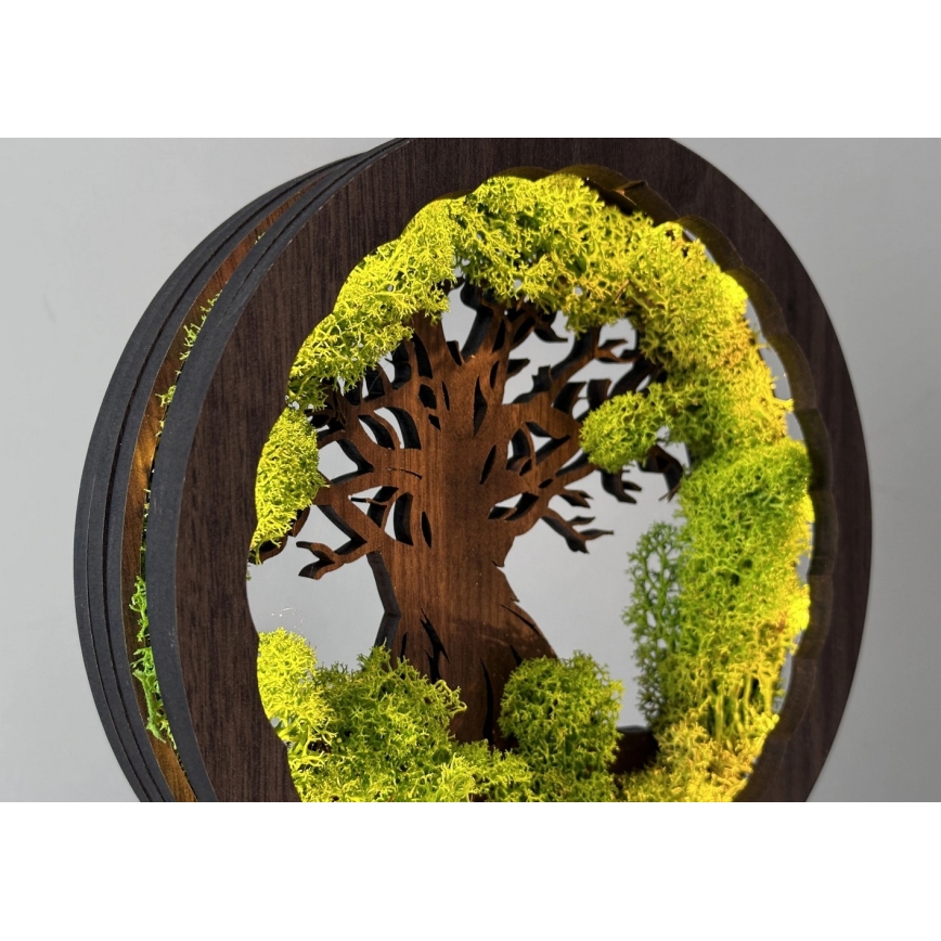 Li-Go 23604/DUB2 - LED Stmievateľná stolová dekorácia LED/12W/230V 20x22 cm dub