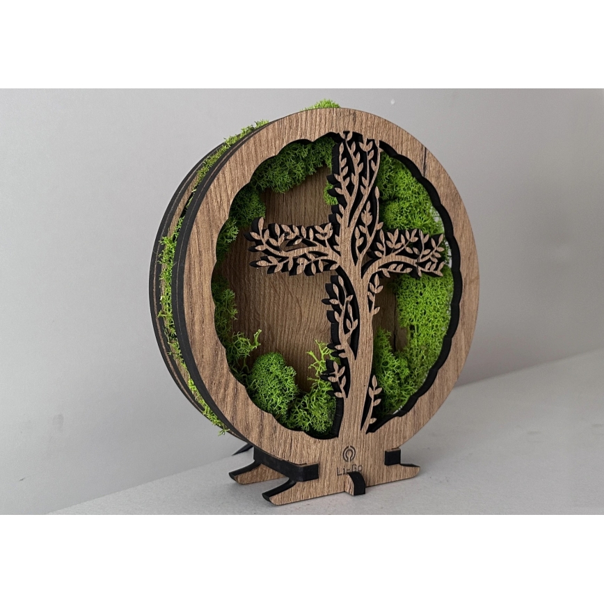 Li-Go 23622/DUB2 - LED stmievateľná stolná dekorácia LED/12W/230V 20x22 cm dub