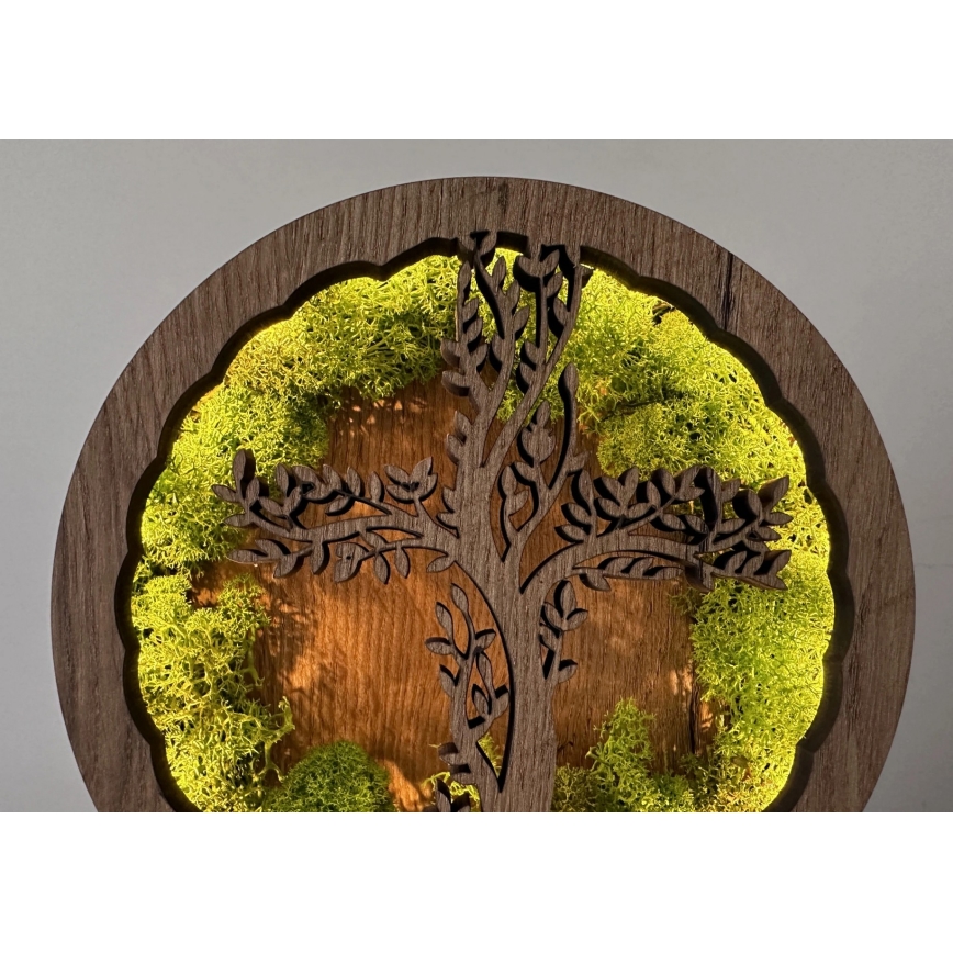 Li-Go 23622/DUB2 - LED stmievateľná stolná dekorácia LED/12W/230V 20x22 cm dub