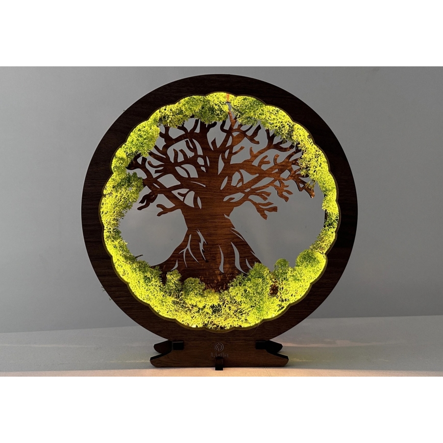 Li-Go 23631/DUB2 - LED Stmievateľná stolová dekorácia LED/12W/230V 30x31 cm dub