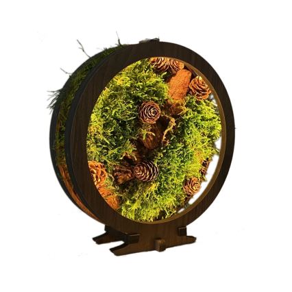 Li-Go 23654 - LED stmievateľná stolová dekorácia LED/12W/230V 20x22 cm orech/mach