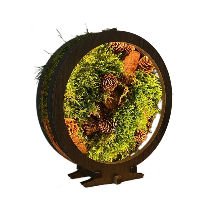 Li-Go 23654 - LED stmievateľná stolová dekorácia LED/12W/230V 20x22 cm orech/mach