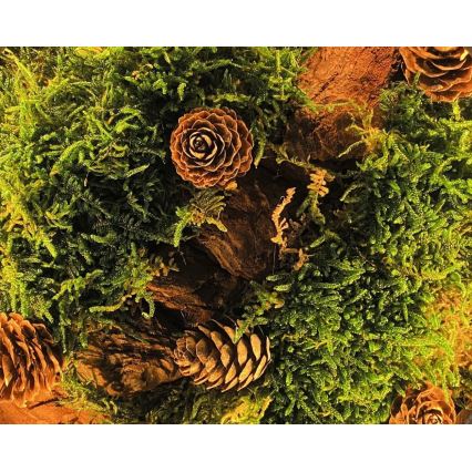 Li-Go 23654 - LED stmievateľná stolová dekorácia LED/12W/230V 20x22 cm orech/mach