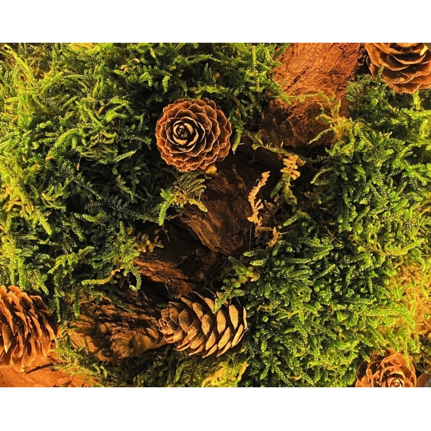 Li-Go 23654 - LED stmievateľná stolová dekorácia LED/12W/230V 20x22 cm orech/mach