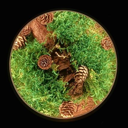 Li-Go 23654 - LED stmievateľná stolová dekorácia LED/12W/230V 20x22 cm orech/mach